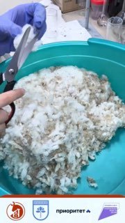 Экологическая Технология Очищения Воды Для Животных На Основе Шерсти