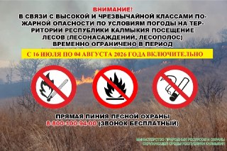 Запрет на посещение лесов в Калмыкии: важные детали и даты