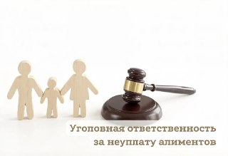 В Черноземельском районе мужчину осудили за неуплату алиментов